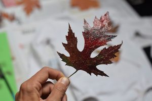 Jesenná móda záhradkára: Skúste recept na originálny dizajn! 