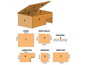 13 krokov k novému domčeku pre ježka a rady, ako sa o neho postarať