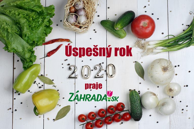 Prajeme úspešný rok 2020!