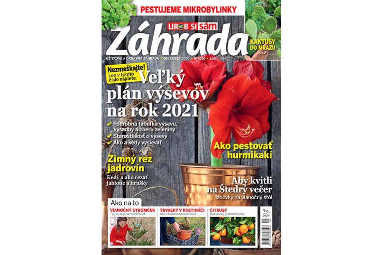 Záhrada 9/2020 v predaji!