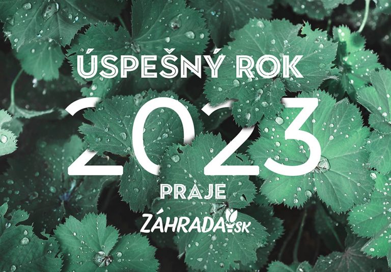 Prajeme úspešný rok 2023!