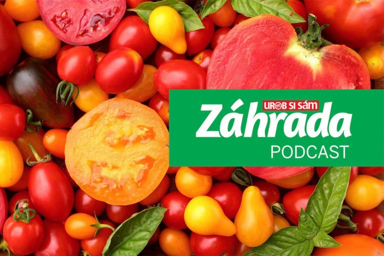 Podcast Záhrada