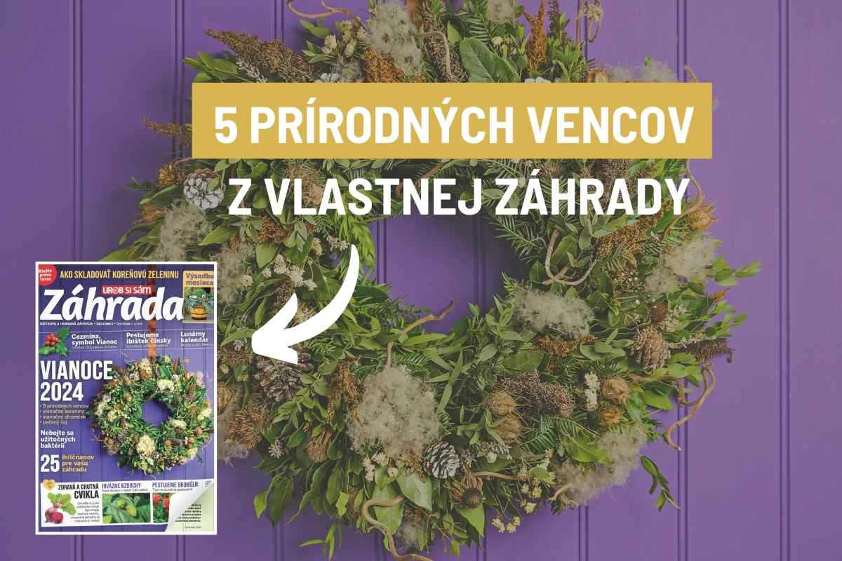 Článok o výrobe prírodných vianočných vencov v časopise Záhrada