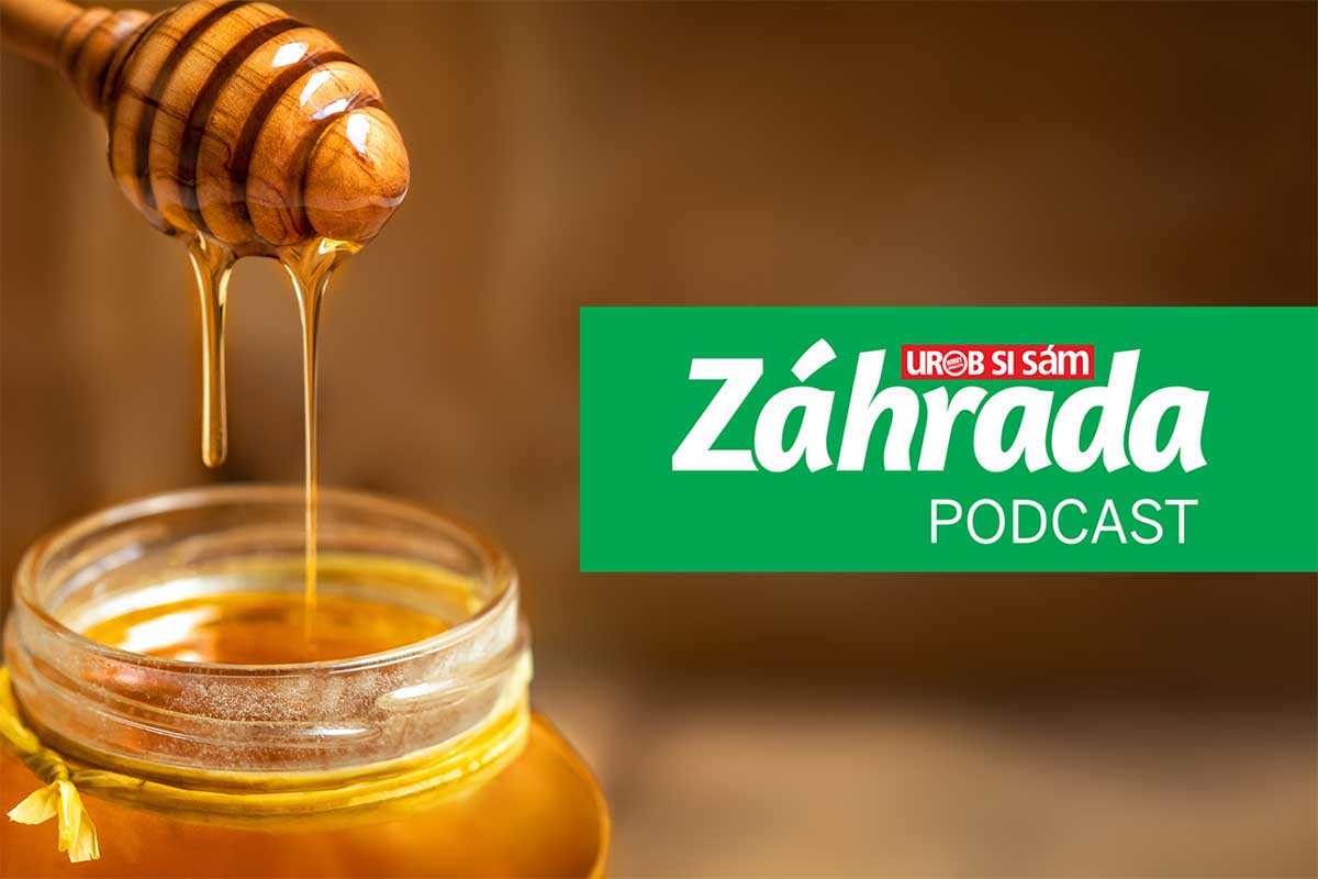 Podcast Záhrada o včelách a mede