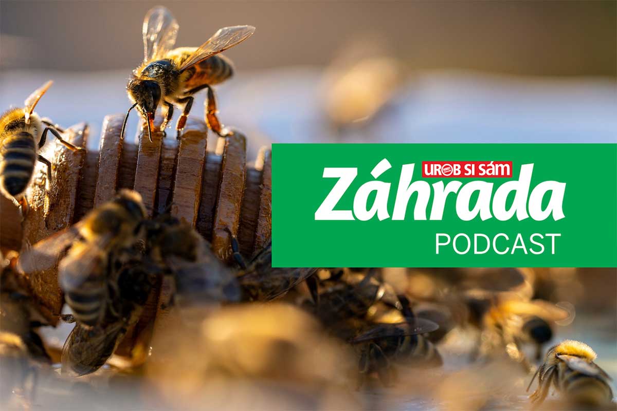 Podcast Záhrada o včelách a včelárstve