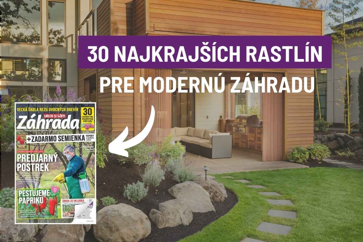 Článok 30 najkrajších rastlín pre modernú záhradu