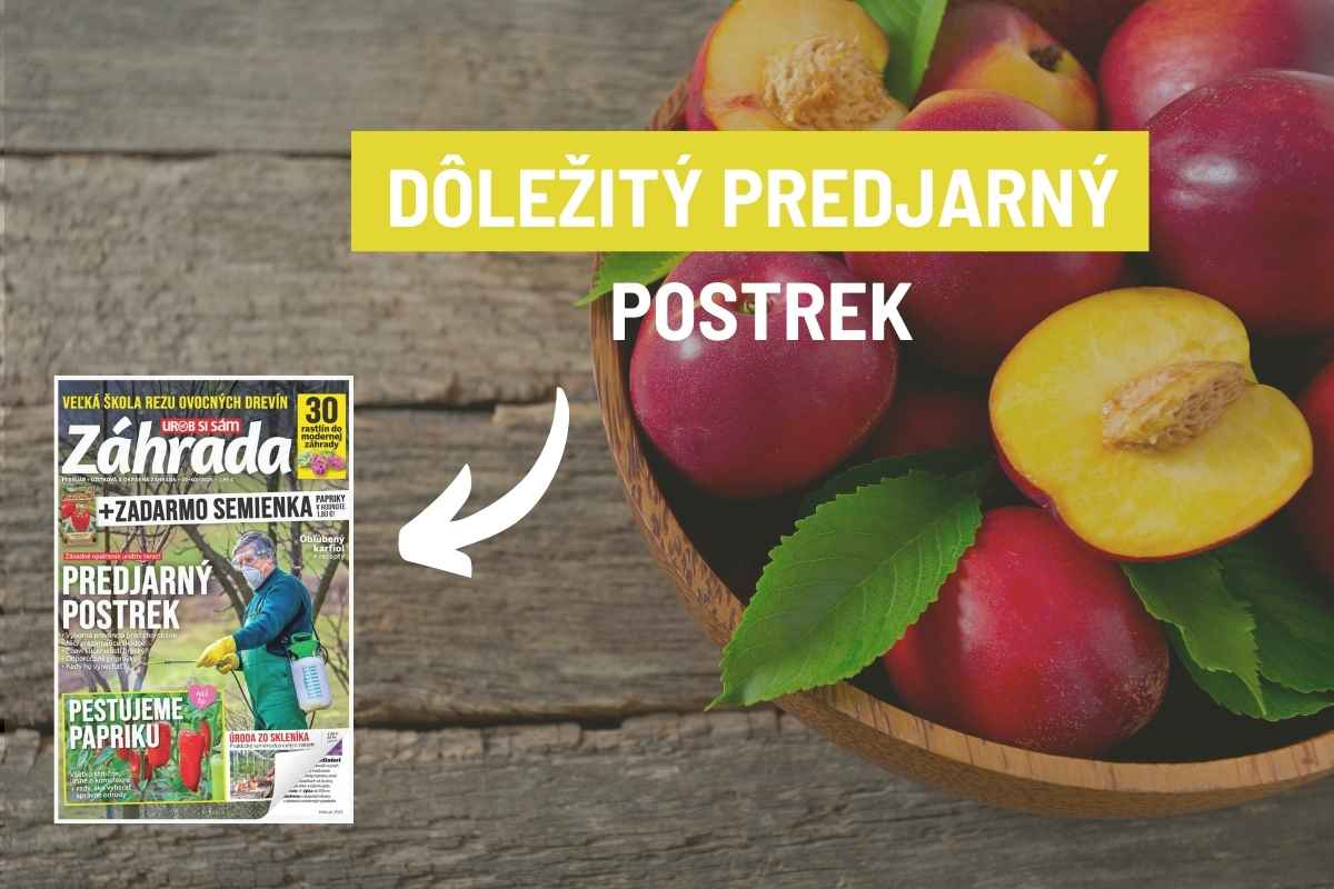 Článok Predjarný postrek v časopise Záhrada