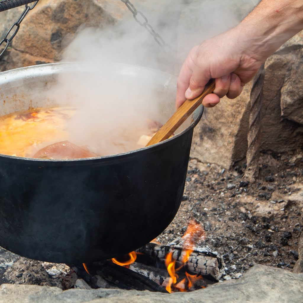 Kotlikovy gulas shutterstock