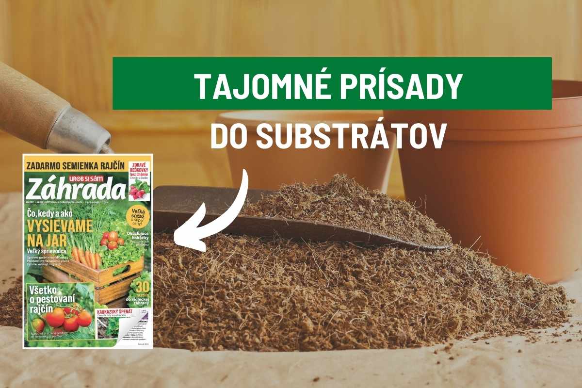 Článok Tajomné prísady do substrátov v časopise Záhrada