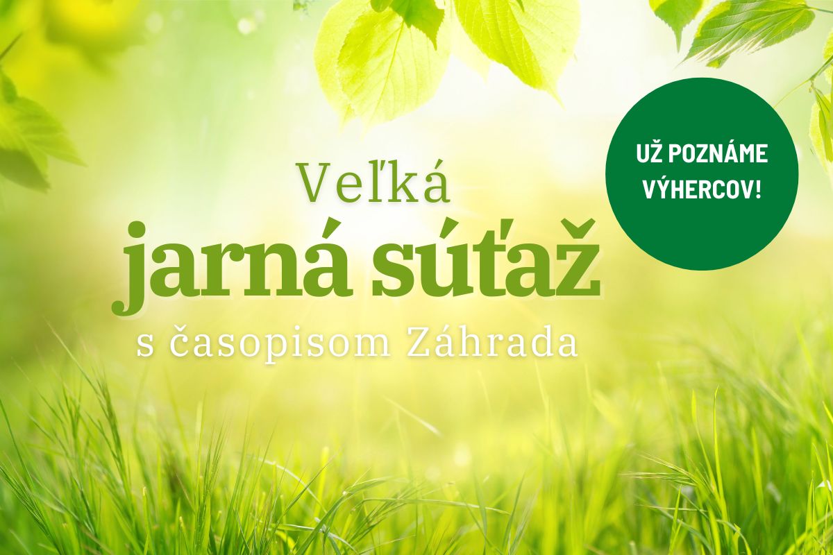 Výhercovia veľkej jarnej súťaže 2025